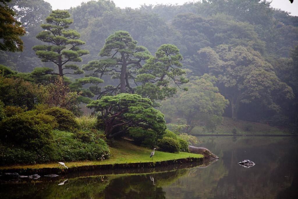 Tora Hotel Tokyo-Rikugienn 寅ホテル 六義園 C Eksteriør bilde